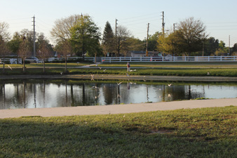 Pond, waterside walking path, and lawn. No dog area visible.