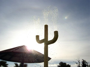 Cactus-shaped splash-pad fountain. No dog area visible.